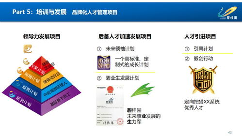 賦能組織，驅(qū)動(dòng)未來 鳳廠人力資源管理體系構(gòu)建與優(yōu)化