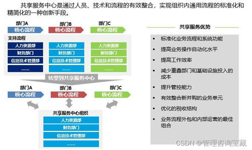 集團公司人力資源共享服務中心建設方案與咨詢服務框架